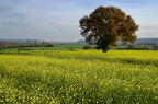 Paysages
